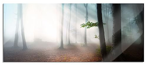 Pixxprint Glasbild Panorama, Wandbild aus Echtglas, Düsterer Wald im Nebel, 120x50 cm, inkl. Aufhängung und Abstandshalter