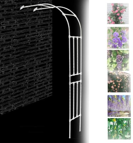 NILZA Garten Torbogen Rankgitter Halbbogen Gartenbogen Halb-rosenbogen Verzinkt Rankgitter Hochzeit Dekoration Rankbogen Metallbogen Wandmontage Bogen Für Kletterpflanzen (Color : White, Size : W2.2