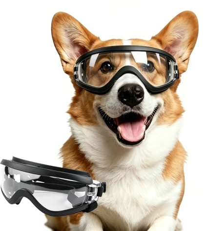 NAMSAN Lunettes de protection pour chiens de taille moyenne - Réglables - Imperméables - Coupe-vent - Protection UV - Lunettes de soleil pour chiens de taille moyenne - Transparent