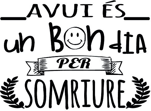 Docliick® Vinilo Frase Catalán Avui és un bon dia.. Vinilos decorativos vinilo frases motivadoras para pared. Vinilo para decorar habitaciones. DC-18101 (Vinilo de corte, 120x120cm)