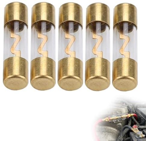 Wcawnlt Lot de 5 AGU Fusible Verre Plaqué Or 60A 12V Fusibles Audio de Voiture 12 Volt pour Auto Amplificateur, Protection Électrique pour Marine, Bateaux, Motos et Projets DIY