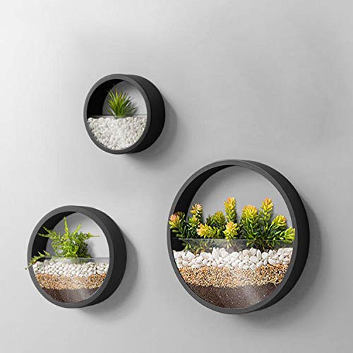 Lot de 3 Pots de Fleurs muraux Modernes Ronds en Verre pour Plantes succulentes - Vase à Suspendre en Fer pour Herbes, Petits Cactus - Parfait pour Balcon, Chambre et décoration de terrasse (Noir)