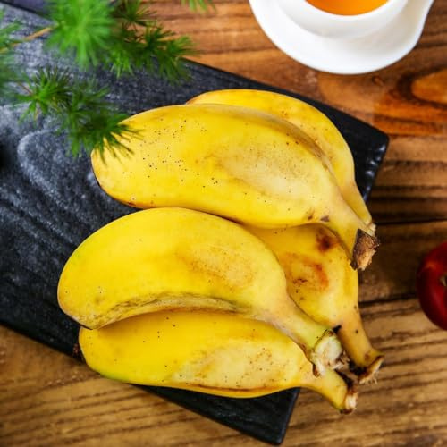 plátanos - semillas de plátano resistentes con en uso exterior, banano de jardín rocas con resistentes jardín en 100semillas