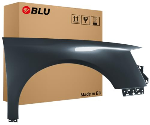 BLU Kotflügel Passend für Volkswagen Passat B6 LK7X Rechts Silber | 2005-2010 | Vorderseite Vorne | Lackiert | Einbaufertig