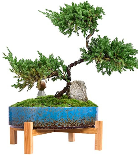 ARTKETTY Plant Pots - 29 CM Ceramic Bonsai Pot with Drainage, Large Succulent Plant Pot for Indoor Cactus Plant Garden Decorative Flower Pot with Stand