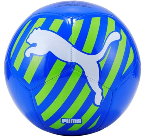 PUMA Großer Katzenball Trainingsbälle