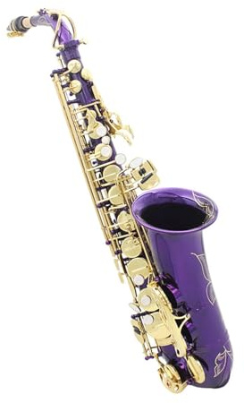 Saxophone für Anfänger Es Altsaxophon Instrumentenspiel(Type 2)