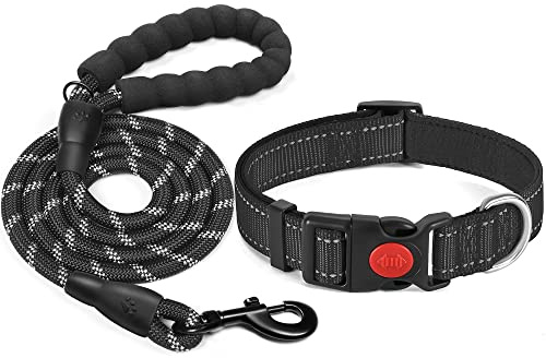 haapaw reflektierendes Hundehalsband gepolstert mit weichem Neopren atmungsaktiv einstellbar Nylon Hundehalsbänder für kleine mittlere große Hunde