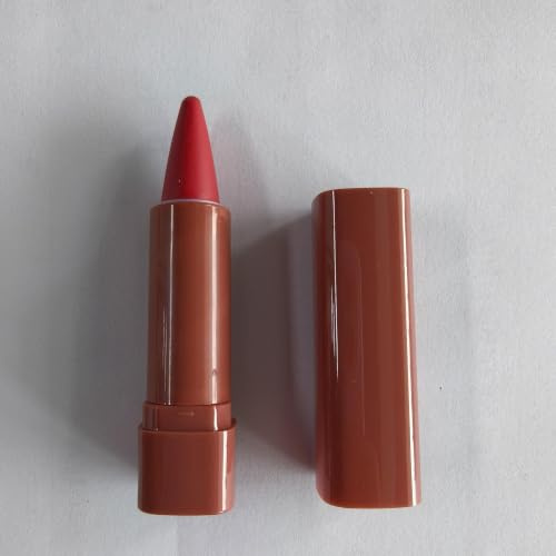 BINGBRUSH Lápiz Labial Rojo Lot de 18 mini rouges à lèvres rouges mats durables pour femme Rouge mat Grand Duracion