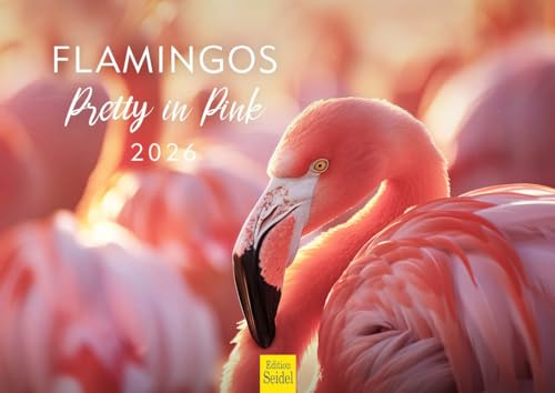 Edition Seidel Calendario premium Flamingos Pretty en color rosa 2026, formato DIN A4, calendario de pared, calendario de animales, pájaros, animales, África, Europa, Asia, vida silvestre, Christian