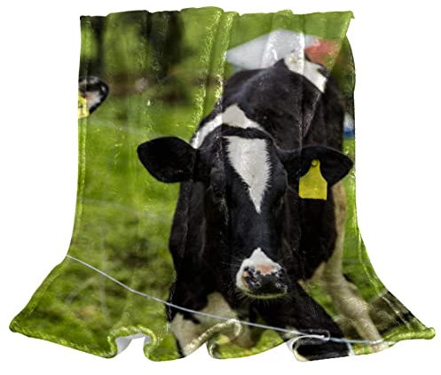 Manta de forro polar para pantorrilla, vacas lecheras jóvenes, pasto verde para sofá, ligera, afelpada