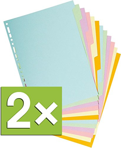 Exacompta Register A4 Trennblätter Recy.Kart. (Pastell | 12-TLG, 2er Pack)