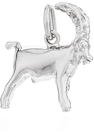 NKlaus Kettenanhänger Sternzeichen 925 Silber glanz Anhänger Zodiac Horoshop Sonnenzeichen Astrologisches Zeichen Horoskopzeichen