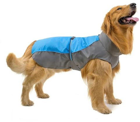 YJDZ Wasserdichter Hunde-Regenmantel für mittelgroße bis große Hunde, verstellbarer Regen für Labrador, Golden Retriever, Französisch und mehr (Blau, S)