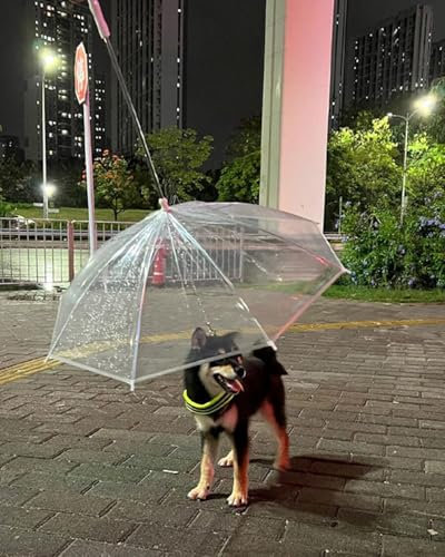 EXCLURA Hunde Regenschirm Hundeschirm für Spaziergänge im Freien an Regnerischen Tagen, Bequemer Welpen-Hundeschirm mit 27 cm Langer Leine, Regenfester, Schneefester Haustierschirm für Hunde