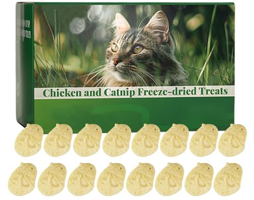 Generisch Katzengras Sticks Für Wohnungskatzen,16 Stück Katzengras Sticks - Essbare Katzensnacks Kauspielzeug Einzelverpackt Für Täglichen Gebrauch Innen- Und Außenbereich