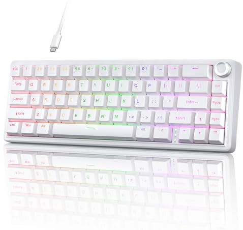 TMKB T68E Clavier Gaming 60% Mécanique, Structure Gasket avec Molette, Disposition US, Hot-Swap, RGB, Switchs Linéaires, 66 Touches Compactes pour Windows/macOS/Linux – Blanc
