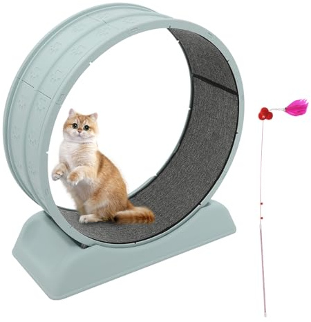 Rueda para Gatos de 80 cm, Rueda Grande para Gatos de casa, Robusta Bicicleta de Fitness con Hebilla de Seguridad, Alfombra y caña de Juego, para Todos los Gatos de hasta 10 kg (Azul)