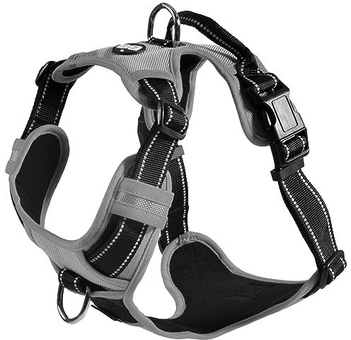 Bobby Rando Walk - Harnais pour Chien, en Nylon Moyen Petit Grand, Sûr, Confortable, Réfléchissant, Ajustable, Gris, M/40-63x2 CM