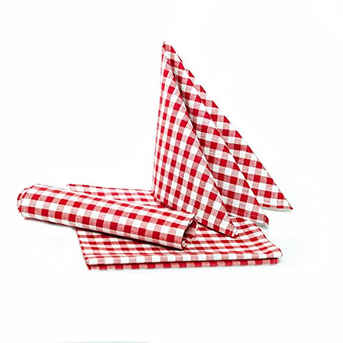 texpot Landhaus Servietten 40 x 40 cm - 12 Stück rot-weiß Kariert 5 mm Karo 100% Baumwolle