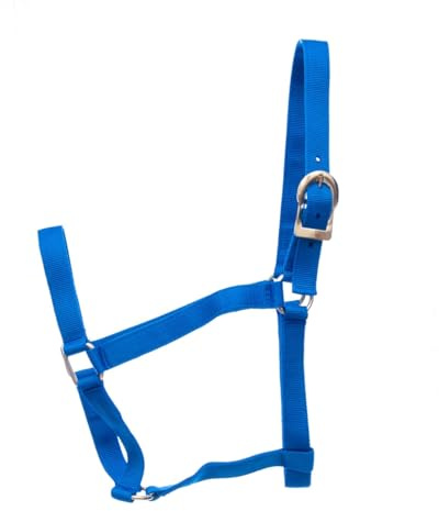 Jeffers Equine Turnout Nylon Halter for Horses, 2-Ply Durable Nylon Webbing, Adjustable Headcollar with Metal Hardware, Equestrian Horse Halter for Stable & Ranch Use