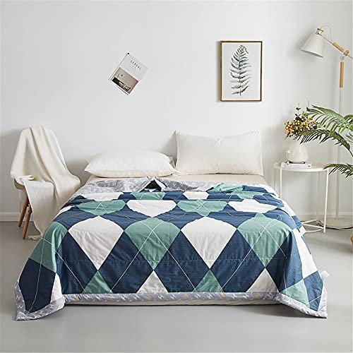 FANSU Tagesdecke Bettüberwurf Steppdecke Baumwolle Doppelbett Einselbetten Tagesdecken Gesteppt Bettwäsche Sofaüberwurf Wohndecke Nordischer Stil Bettdecke (Zeittunnel,200x230cm)