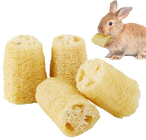 Kixolazr Kau Spielzeug Für Zähne - 4 Stück Luffa Rennmäuse Kauartikel - Gerbil Zahnpflege Spielzeug | Für Haustierbesitzer Tierheime Geschäfte Katze Und Hund Wohnzimmer Schlafzimmer Arbeitszimmer Büro