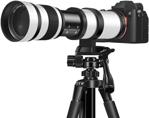 Generisch Teleobjektiv 420-800mm f/8.3-16, Manueller Fokus, 67mm Filter, mit Adapterringen für EF/F/E-Mount (White, EF)