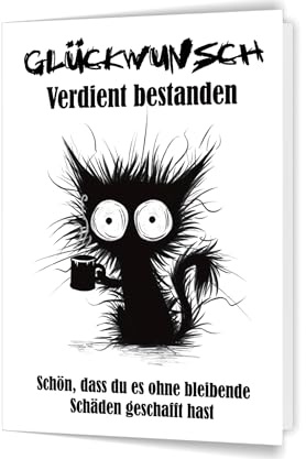 PICTALOO Glückwunschkarte zur bestandenen Prüfung – mitgenommene Katze – lustige Grußkarte zum Abitur, Schulabschluss, Examen, Führerschein, Ausbildung, Bachelor, witzige Karte Geschenk Abi (v1)
