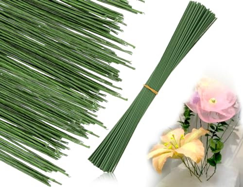 Lhbwhiz 60 Stück Basteldraht,DIY Floristikdraht,steckdraht,Blumendraht,Bindedraht,für Trockenblumen Pflanzen Zubehör(2 * 300mm,grün)