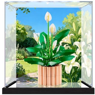 Transparent Acrylic Display Case for Lego 11504 Peace Lily Model, Clear Box, Storage Box, Dustproof Box (Model not Included) (Background+Mirror Base)