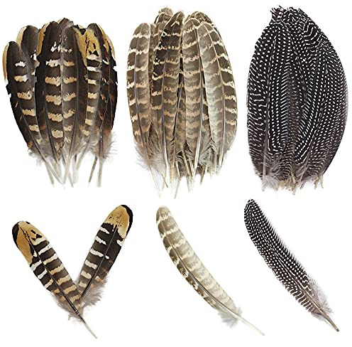 Zasvec Fasan Federn Lang 30 Stück Natur Dekoration Hahnfeder Fasanenfedern Truthahn Federn Natur Vogelfeder Fasan Schwanzfedern Natural Craft Feather 10-25cm Länge für Basteln Zuhause Dekor