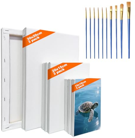 9 Stück Leinwand zum Bemalen, Leinwände für Acrylfarben mit 10 Bürsten
