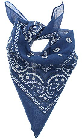 Zac's Alter Ego Retro Vintage Style Cowboy Paisley Bandana/Neckerchief/Durag