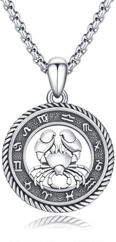 PARYFO 12 Sternzeichen Anhänger Halskette 925 Sterling Silber Oxidiert/Gold Anhänger Sternzeichen Kette Astrologie Schmuck Geburtstag Geschenke für Männer Frauen, mit Edelstahlkette