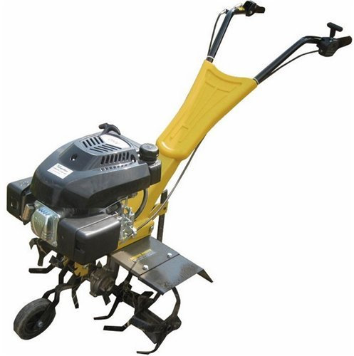 Papillon MOTOZAPPA Green Zap 60 - 4T 173CC - 6HP - 6 FRESE