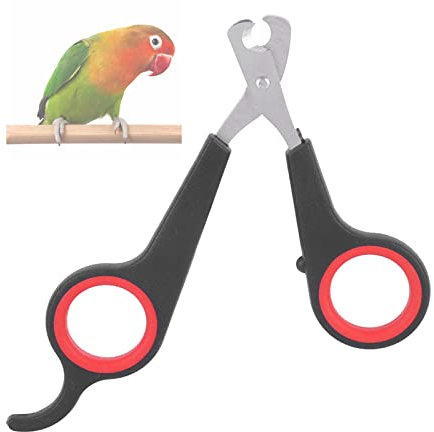 ANKROYU Vogel Krallenschere, Papagei Nagelschere Edelstahl Krallenpflege für Kleintiere Nagelknipser für Hunde Katzen und Kleintiere Haustier Krallenzange Krallenschneider Mit Safety Guard (1)