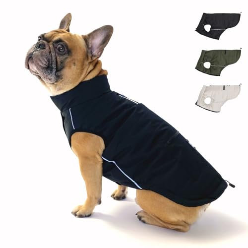 PAW WOW Toni Hundejacke | Winter Hundemantel mit Bauchschutz | Hundeweste für große & kleine Hunde (Schwarz, M)