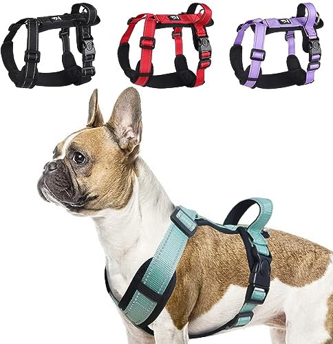LiebeDD Hundegeschirr Grün XL - Brustgeschirr Hund Mittel Reflektierend Anti zieh Hunde Geschirr Hund Zuggeschirr Gepolstert mit Griff Dog Harness für Welpen Kleine und Mittelgroße Hunde