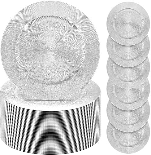 Tanlade 100 Pcs Charger Plates Bulk, 13 Inch Round Charger Plates Plastic Wedding Dinner Elegant Reusable Chargers Plates for Table Setting Wedding Party Event Tabletop Setting Decor (Silver)