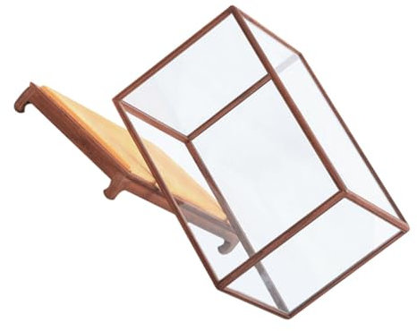 IWOWHERO Transparente Mehrfunktionale Holz-displaybox Mit Staubdichtem Schutz Für Sammlerstücke Dekorative Aufbewahrung Für Puppen Statuen Und Antiquitäten Eleganter Vitrinenständer