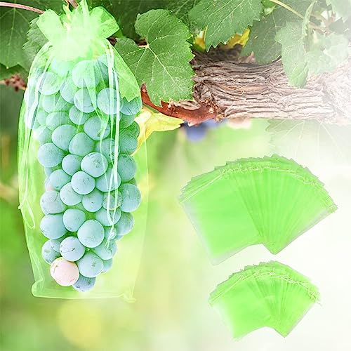 60 Pezzi Sacchetto di Protezione dell'uva Sacchetti Organza con Coulisse Sacchetto di Protezione della Frutta per Previene i Danni di Uccelli e Altri Insetti (Verde,20x30CM,17x23CM)