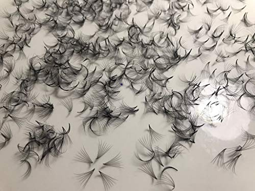 LASH BY HOLLY 7D PREMADE (HAND MADE) FAN LASHES (500 FANS/TRAY) FOR EYELASH EXTENSION, C CURL AND D CURL, 0.07 THICKNESS, LENGTH FROM 9MM-15MM (D11mm7D)