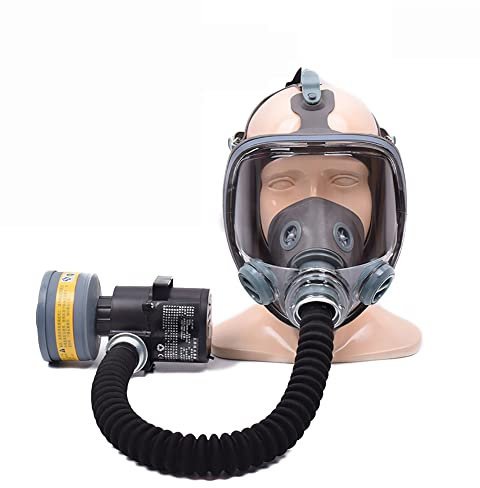 Toplionace Respiratore Elettrico Ricaricabile AC 100-240V, Maschera Antigas a Pieno Facciale Maschera Antiappannamento Ad Alta Definizione Sistema Respiratorio Protettivo, SJL700 (Set 2)