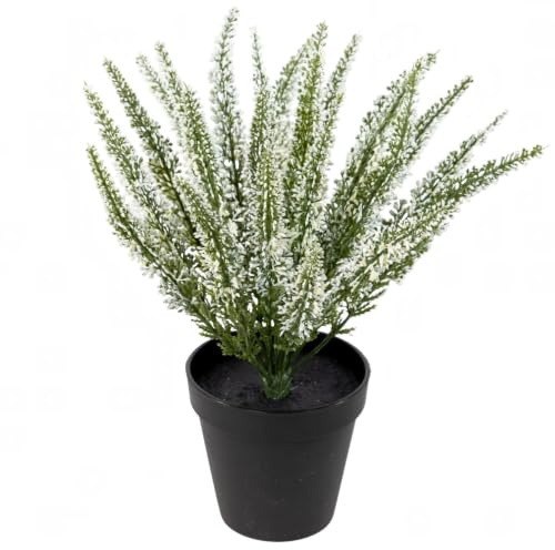 Erika / Heidekraut Weiß 32x28cm im Topf DP mit 24 Stielen, künstlich Kunstpflanzen Heide Kraut Kunstblumen Busch Kunst Strauch, Home Decoration Deko Deco, künstliche Blumen Pflanzen Dekoration