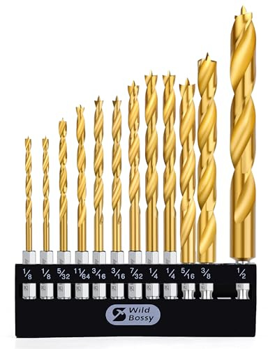 Titanium Brad Point Drill Bit Set 12Pcs (1/8 - 1/2) HSS Hex Shank Drill Bit Set with Double Flutes Design for Hardwood, Plywood, Plastic Round Holes in All Types of Wood