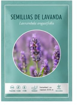 Semillas de Lavandula Angustifolia para Huerto y Balcón – DECOALIVE