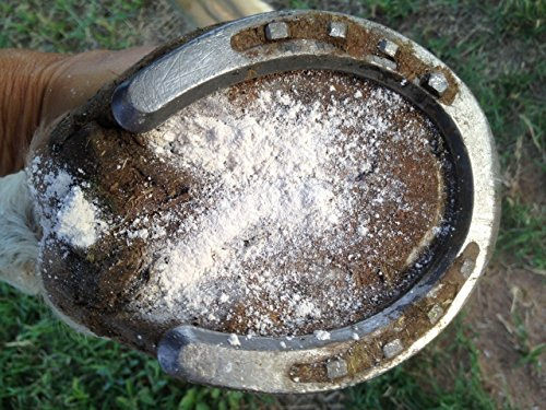 ClearOFF DEquine Natural Stable Field Mite Parasite Killer Powder Sweet Itch (400g)