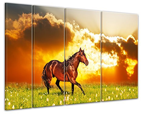 Keilrahmenbild Pferd auf Einer Wiese - 180x120 cm quer mehrteilig Bilder als Leinwanddruck Fotoleinwand Tierbild Reittier - braunes Pferd vor einem Sonnenuntergang
