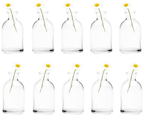 Chive Blumenvase Loft — Schöne Glasvasen für Blumen & Zimmerpflanzen — Süße Deko kleine Vase — Hohe Flasche 10er Set